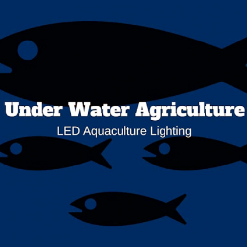 LED lighting technology provides unique benefits for aquaculture