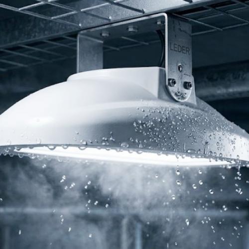What are the best anti-condensation LED lighting solutions for New Zealand food processing plants?